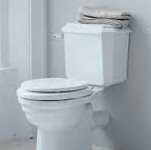 Fit New Toilet